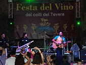 castiglione-in-teverina-festa-del-vino-2012
