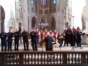 Ensemble Seicentonovecento &amp; Cappella Musicale di S.Maria dell'Anima_ridt