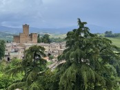 Proceno Borgo di Rigenerazione (1)