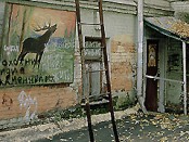Wim Wenders. Urban Solitude” al palazzo Incontro